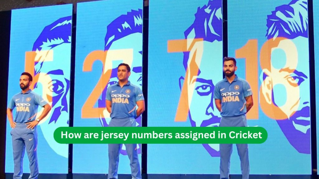 How are jersey numbers assigned in Cricket