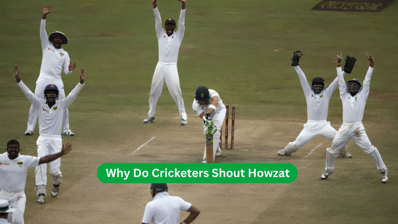 Why Do Cricketers Shout Howzat