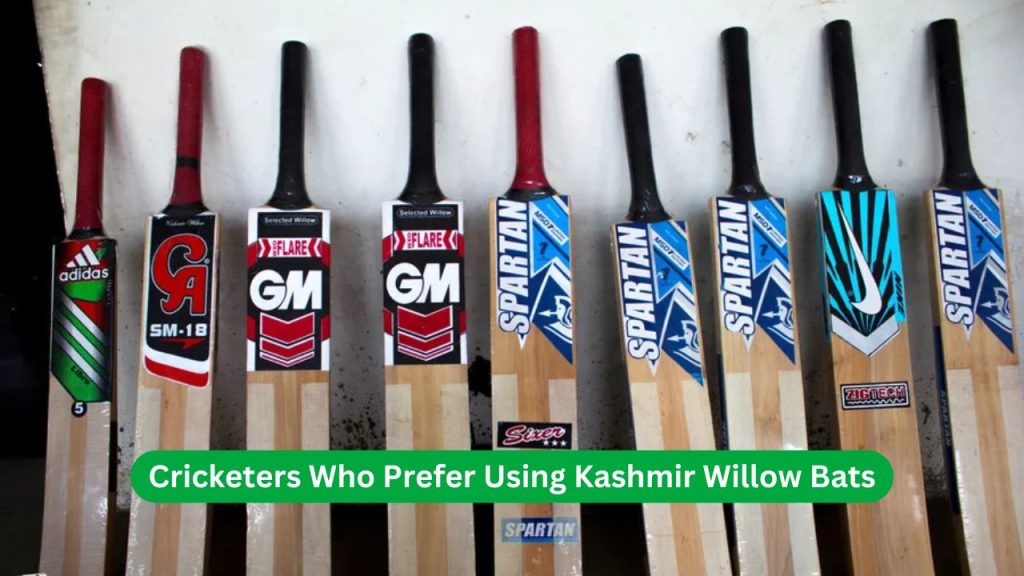 Cricketers Who Prefer Using Kashmir Willow Bats